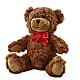 Adorable Plush Bear – Westmont Floral, Westmont IL