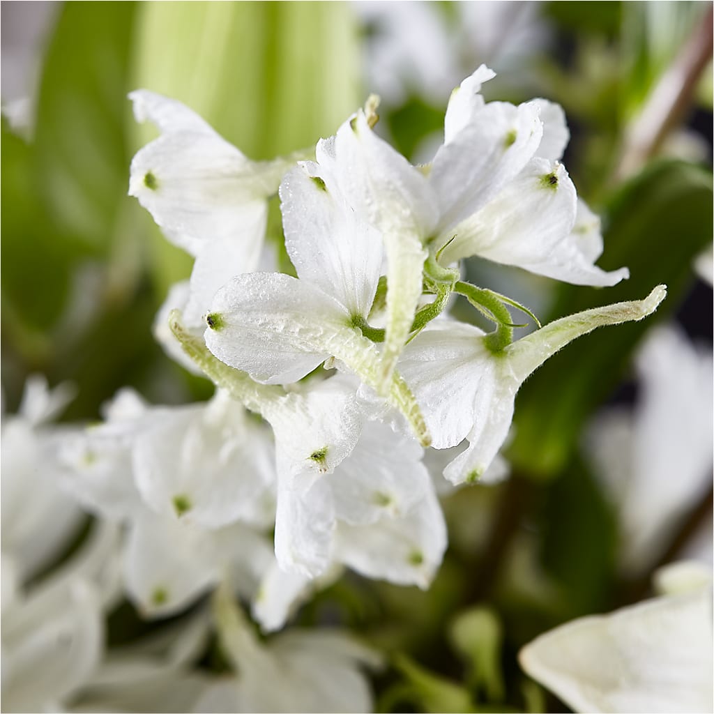Classic Ivory – A Florist Original –  Westmont Floral, Westmont IL